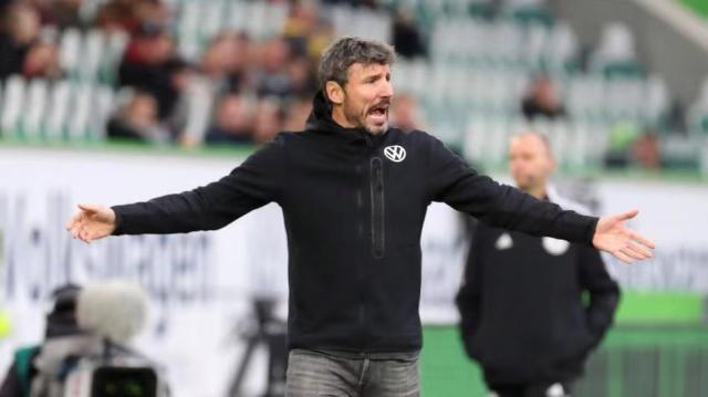 他們的經歷 他們的經歷