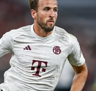 杯的执掌者 杯的执掌者