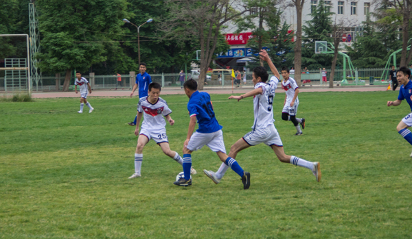 阵容闻名 阵容闻名